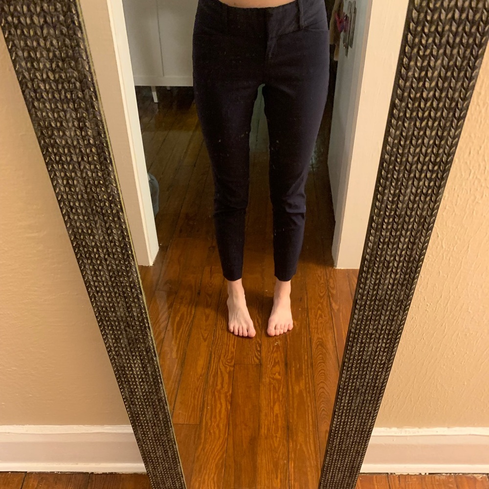 The limited navy pants